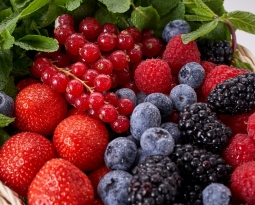 Superfoods: What They Are and How to Incorporate Them Into Your Diet
