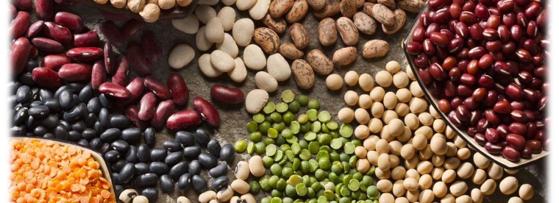 Quick Wins, Food Hacks and Fibroids – Holistic Habits by Cheryl A. Mothes, Ph.D. Natural Health Nutrition Counselor (6)