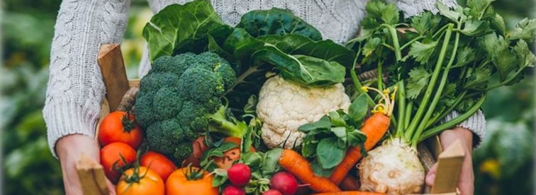 Grains, Proteins, and Autoimmune Disease – Holistic Habits by Cheryl A. Mothes, Ph.D. Natural Health Nutrition Counselor (8)