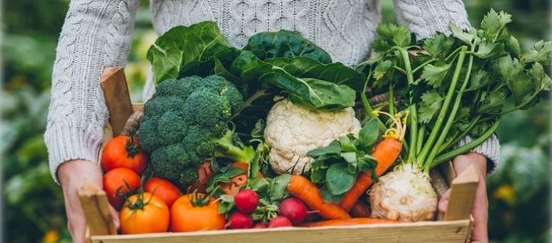 Grains, Proteins, and Autoimmune Disease – Holistic Habits by Cheryl A. Mothes, Ph.D. Natural Health Nutrition Counselor (8)