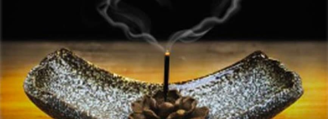 Holistic Habits by Cheryl A. Mothes, Ph.D. Natural Health Nutrition Counselor (22)