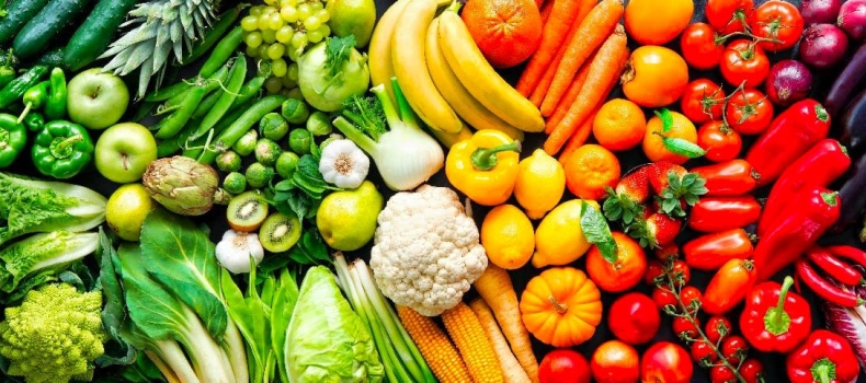 Holistic Habits by Cheryl A. Mothes, Ph.D. Natural Health Nutrition Counselor (18)
