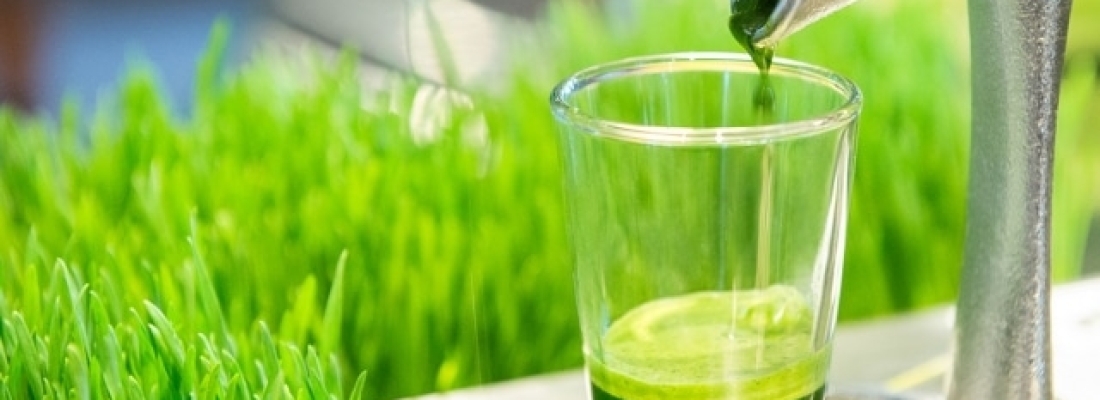 Amazing Antioxidants That Will Change Your Life