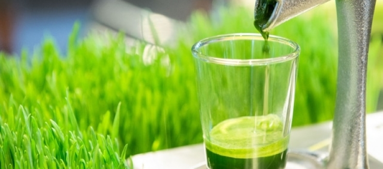 Amazing Antioxidants That Will Change Your Life